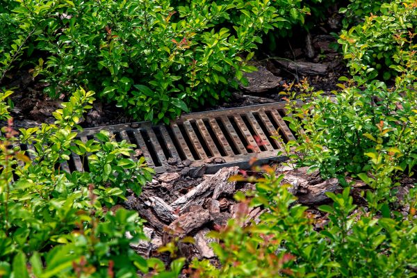 Cost of Underground Drainage Service in Chandler