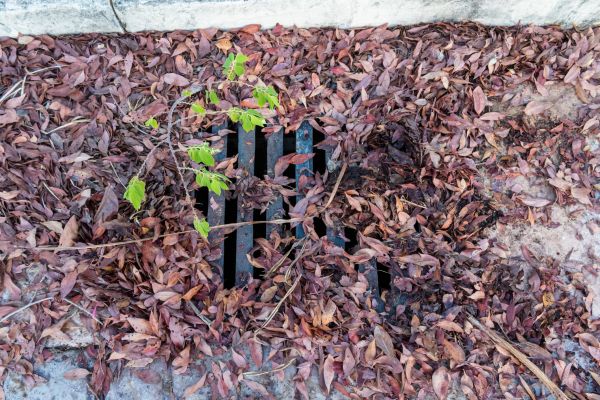 Cost of Yard Drain Unclogging in Chandler