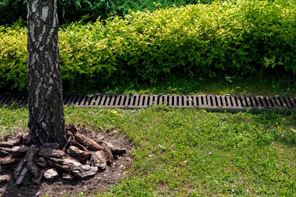 Cost of Wet Yard Drainage in Chandler