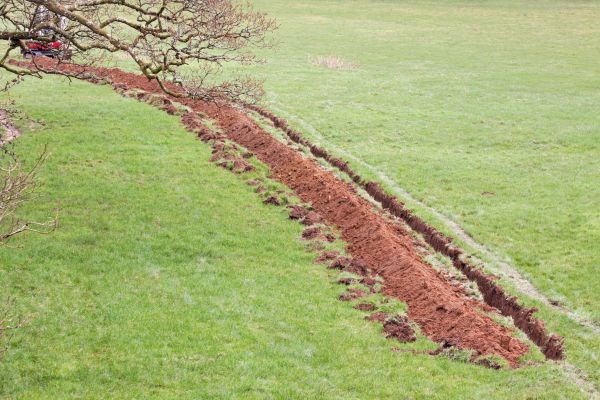 Cost of Swale Installation in Chandler