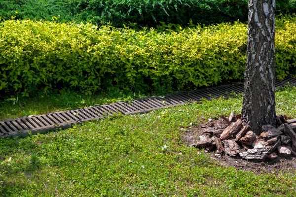 Cost of Residential Landscape Drainage in Chandler