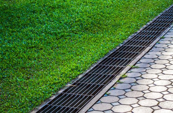 Cost of Water Drainage Repair in Chandler