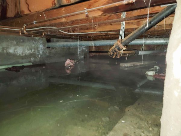 Cost of Crawlspace Drainage in Chandler